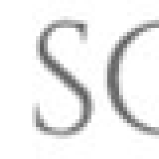 Close-up of a letter 'S' in a serif font on a white background.
